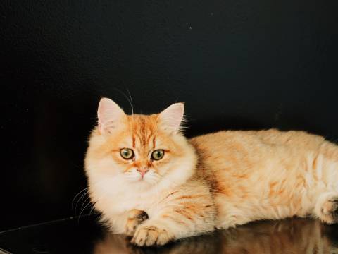 光和风·ROOF汤泉乡宿(OMG心跳乐园店)图片