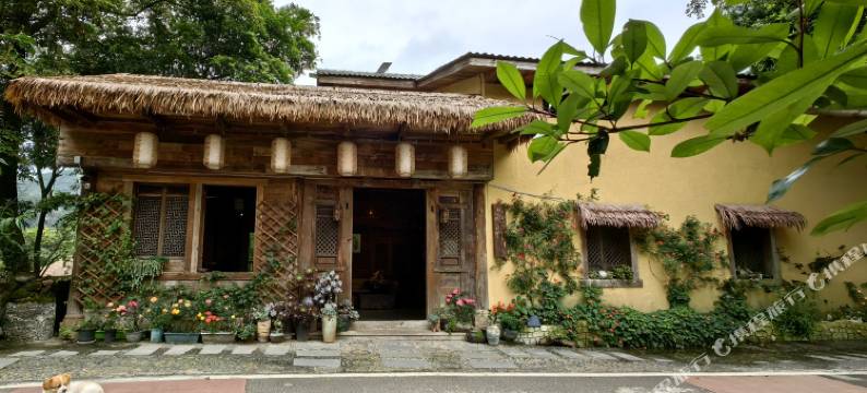 忘行南山特色民宿(南山公园北路店)图片