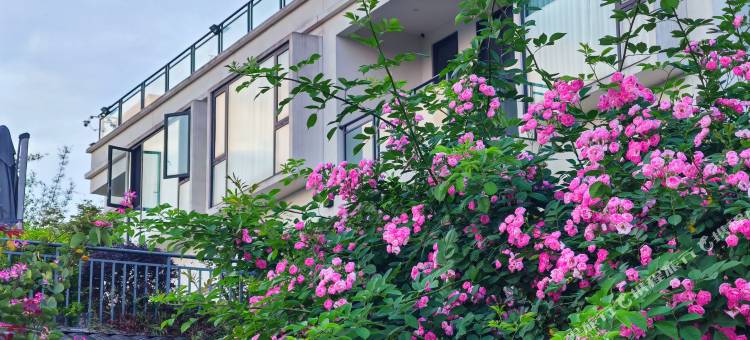 李庄半亩花田民宿图片