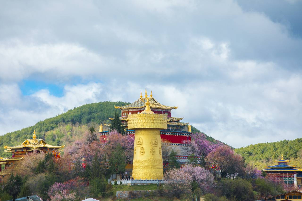 花筑·香格里拉一抹蓝美景酒店(独克宗古城店)图片