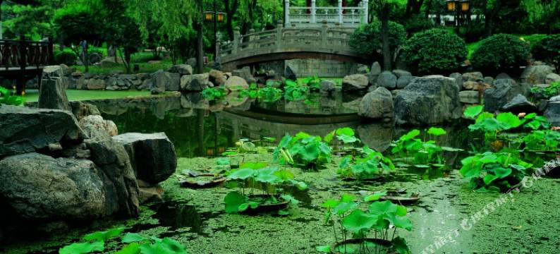 天津新华驿酒店(葛万公路店)图片