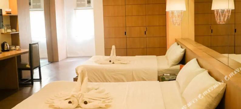 塔克洛班广场酒店(Tacloban Plaza Hotel)图片