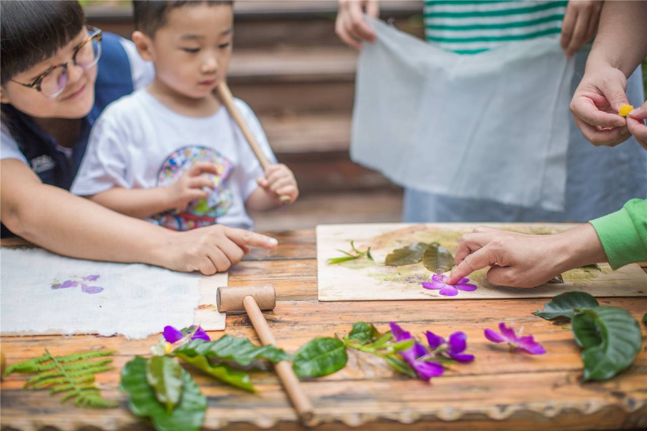 普洱小熊猫庄园图片