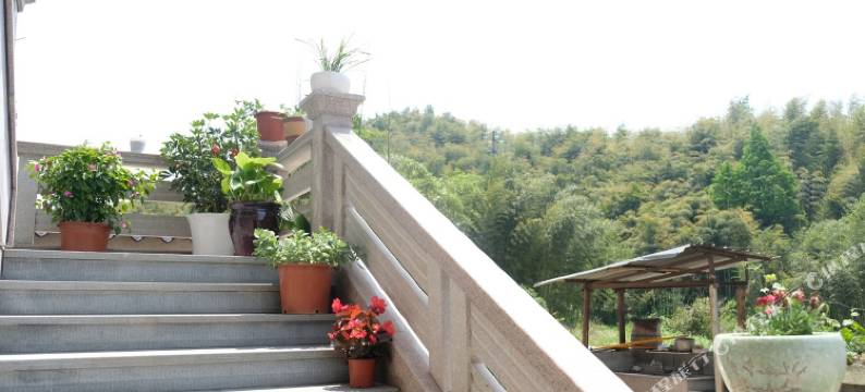 安吉赞琳民宿图片