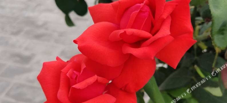 浪漫之旅酒店(西安咸阳国际机场T3T5航站楼店)图片