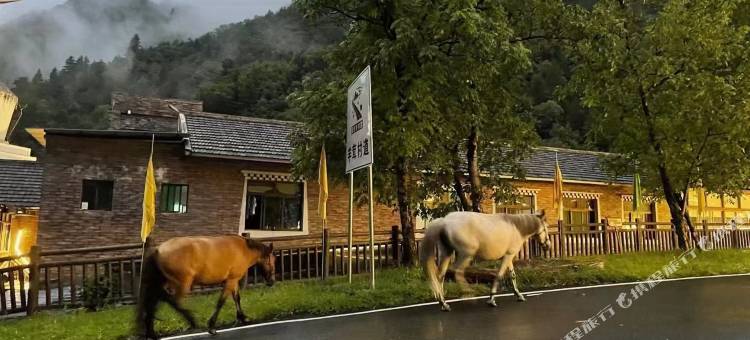 黑水羊茸·哈德精品民宿图片