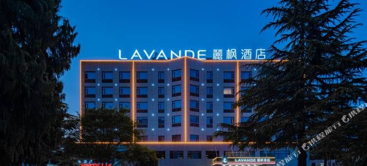 麗枫酒店(兴平马嵬驿航空广场店)图片