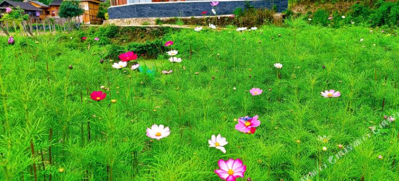 施秉云宿·黑冲民宿图片