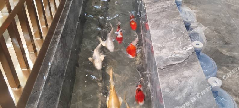 稷山北城宾馆图片