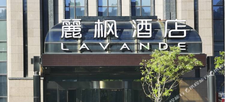 麗枫酒店(沈阳黎明广场新惠街地铁站店)图片