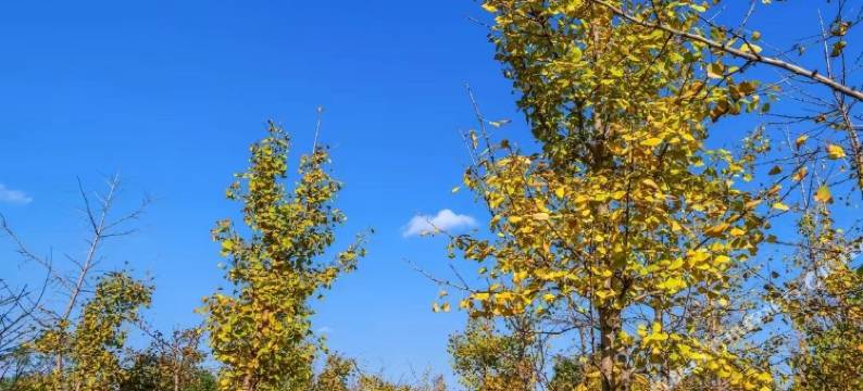 上海小小周民宿图片