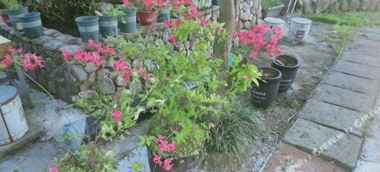 旮露湾民宿图片