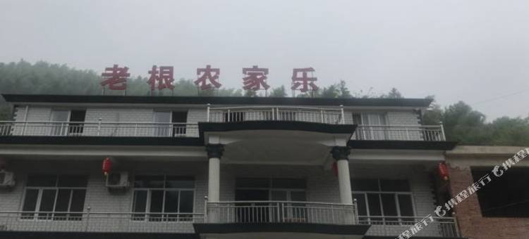 宁国老根农家乐图片