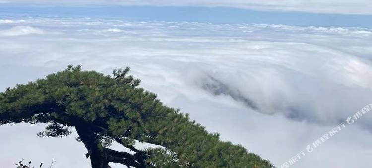 三清山山味别院民宿图片