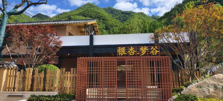银杏·梦谷民宿图片