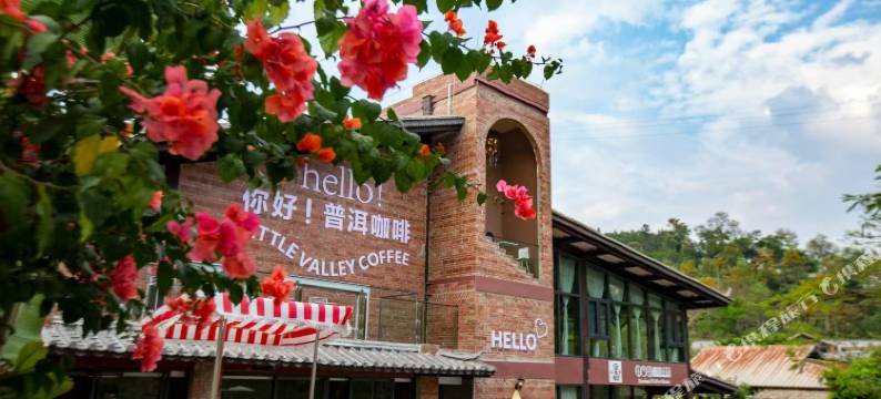 小凹子精品咖啡庄园图片