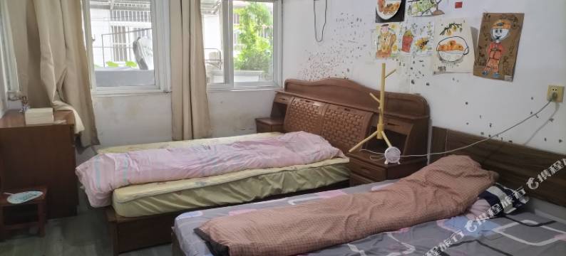 扬州老叶名宿图片