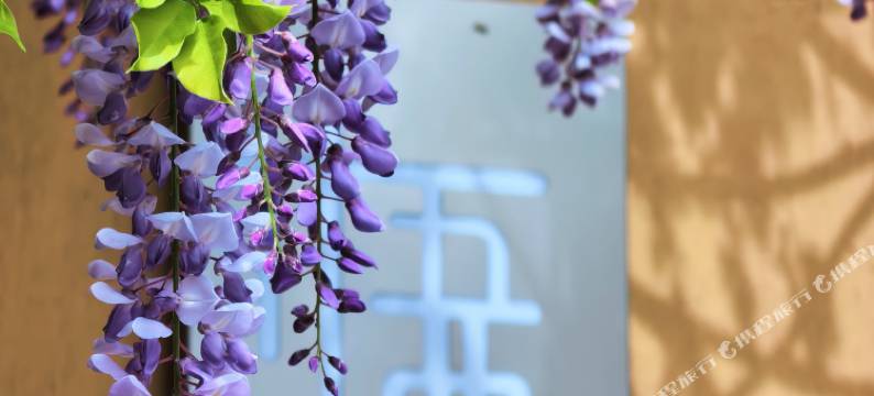 大理沙溪吾栖民宿图片