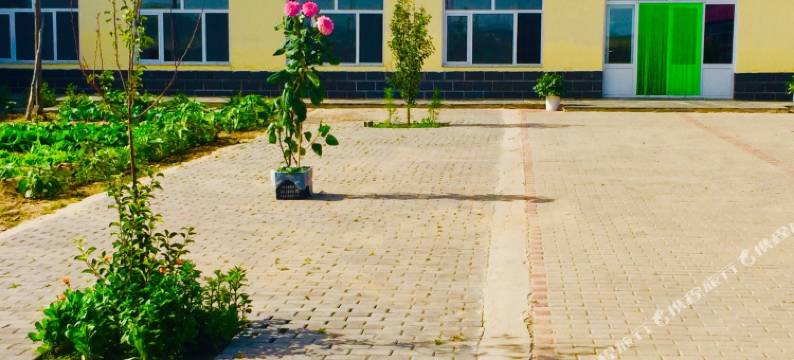 乌兰布统忘归农家院图片