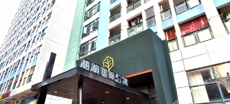 深圳梧桐国际公寓图片