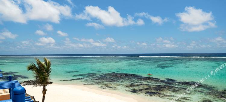 Salt of Palmar, Mauritius图片