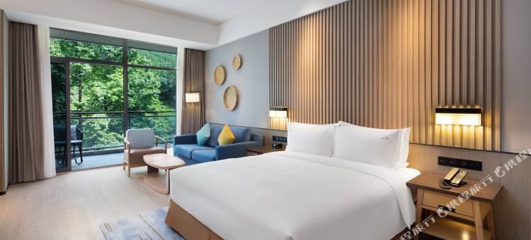 蒙顶山假日度假酒店图片