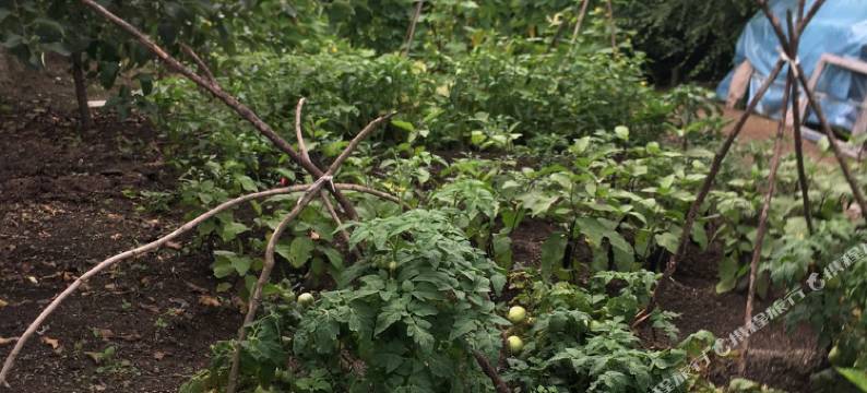 横道河子東山大营民宿图片