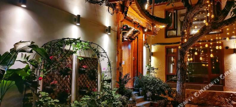 丽江一池莲客栈图片