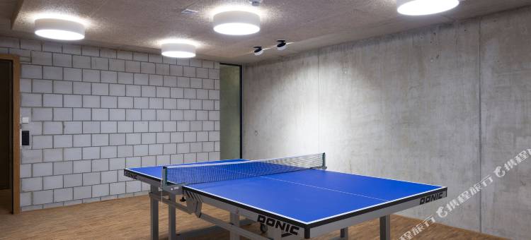 萨嫩-格施塔德青年旅舍(Saanen Gstaad Youth Hostel)图片