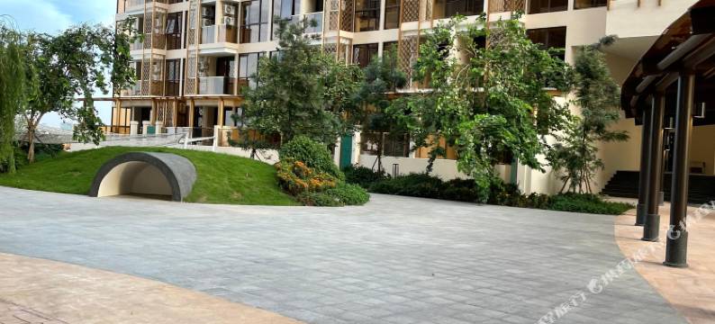 兰花公寓(orkide apartment)图片