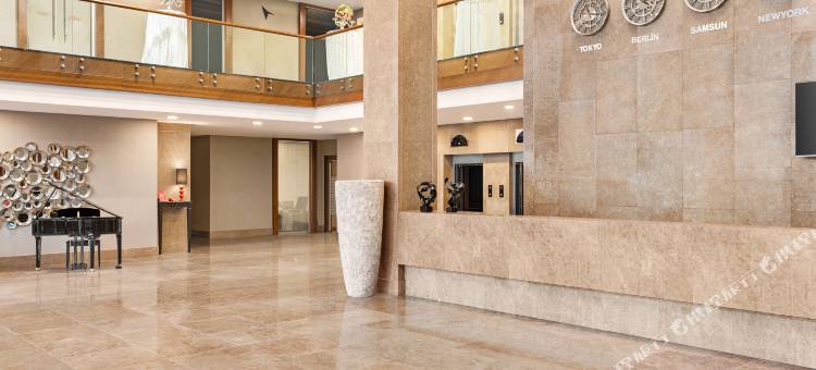 温德姆华美达广场酒店-萨姆松(Ramada Plaza by Wyndham Samsun)图片
