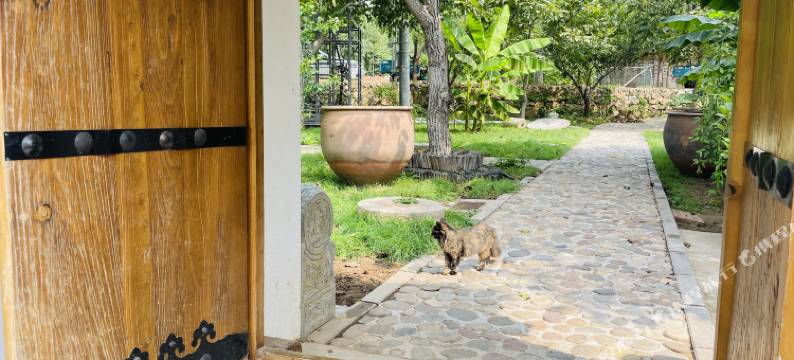 南遇乡舍民宿图片