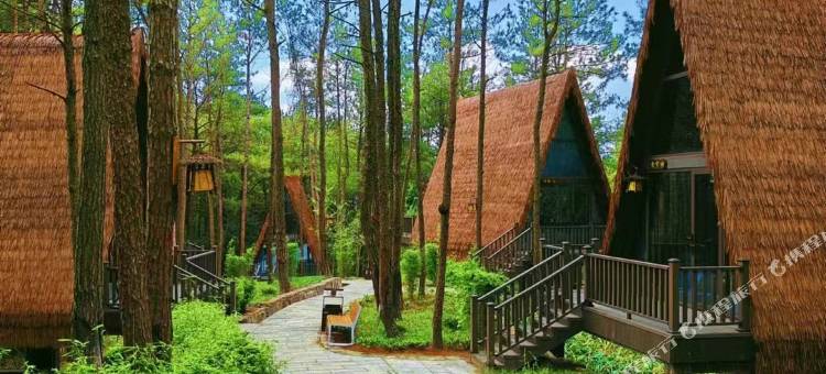 茶笺小筑民宿图片