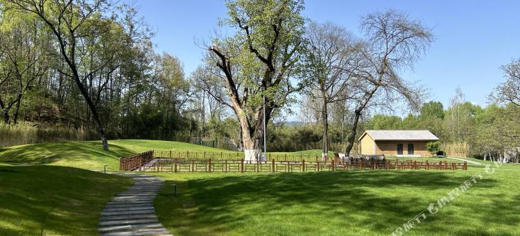 洛南桃悠谷酒店图片