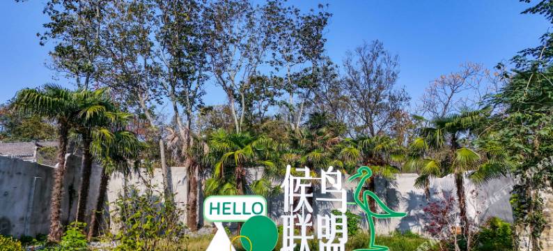 升金湖候鸟联盟度假民宿图片