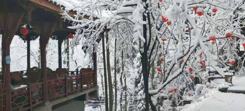 青城后山青上民宿图片