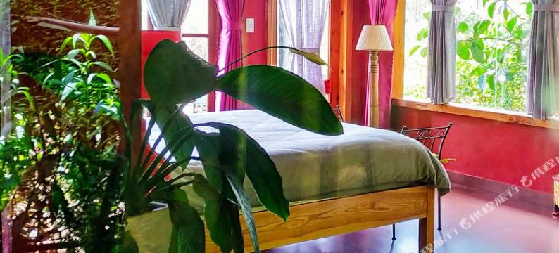 湖畔禅咖啡厅酒店(Zen Cafe Lakeside)图片