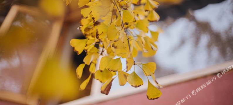 上海雨后客栈图片
