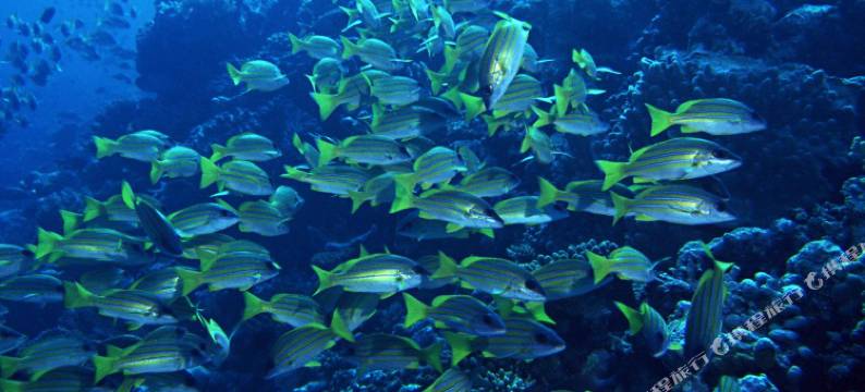 北海尚层建筑国际艺术海景酒店式公寓图片