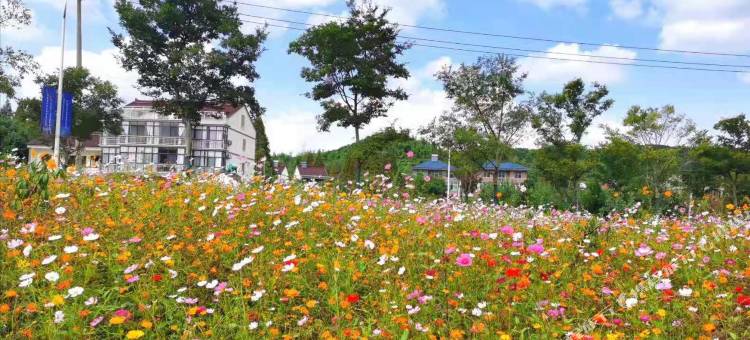 圆梦花舍非遗民宿图片