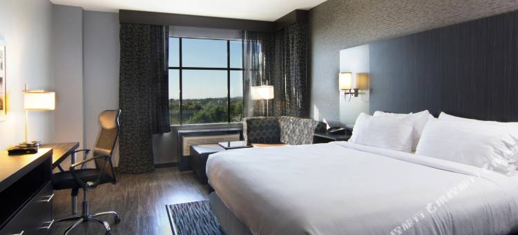 卡尔斯巴德/圣地亚哥假日酒店(Holiday Inn Carlsbad - San Diego)图片