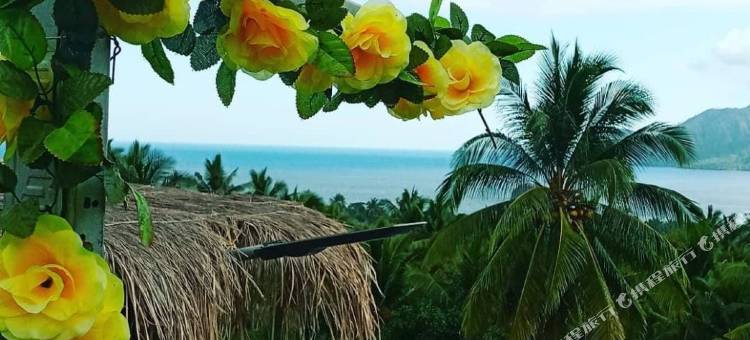 多贝尔V度假村(Dobel V Resort)图片