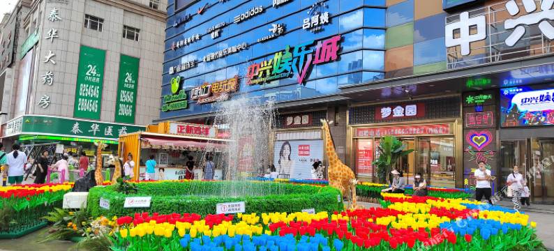 暖居精品公寓图片