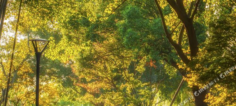 池州平天半岛大酒店图片