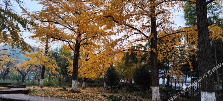 长兴乡遇民宿图片