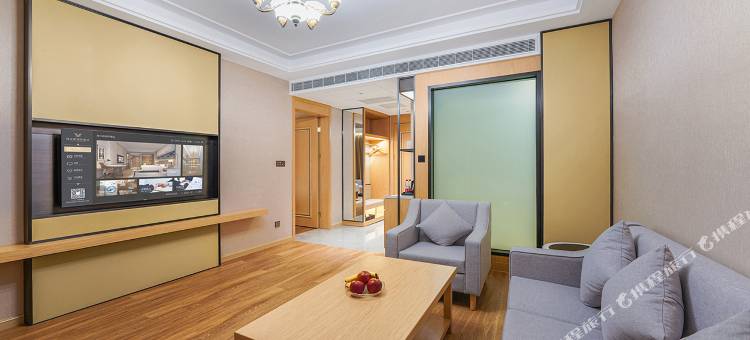 维也纳国际酒店(芜湖银湖星悦广场店)图片