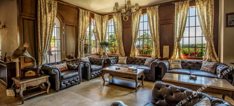 提米斯豪宅 - 健康&Spa度假村(Casa Timiș - Wellness & Spa Resort)图片