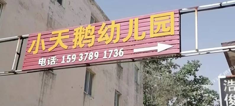 小天鹅民宿图片