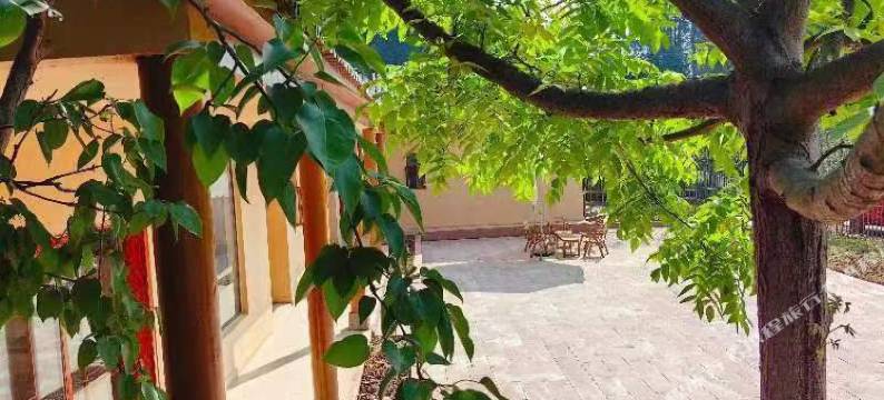 幸福1号民宿(丹棱幸福古村店)图片