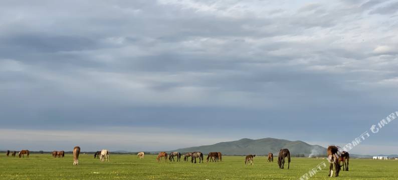 黑山头金色牧场民宿图片